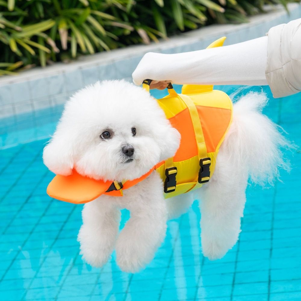 Rompi Pelampung Anjing Bentuk  - Life Jacket ulasan dan harga